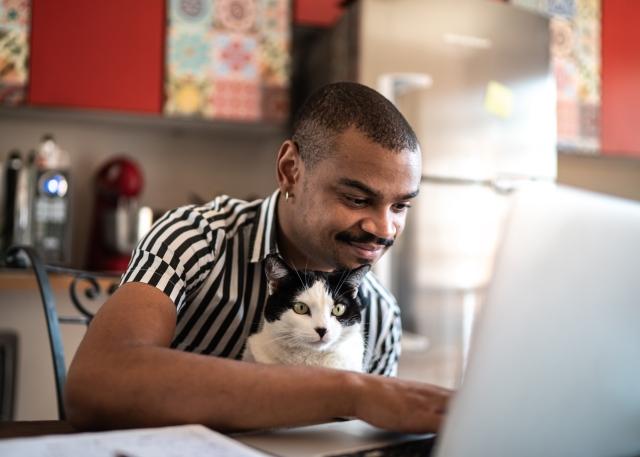 Male Brazilian remote employee works from his laptop at home with his cat in his lap
