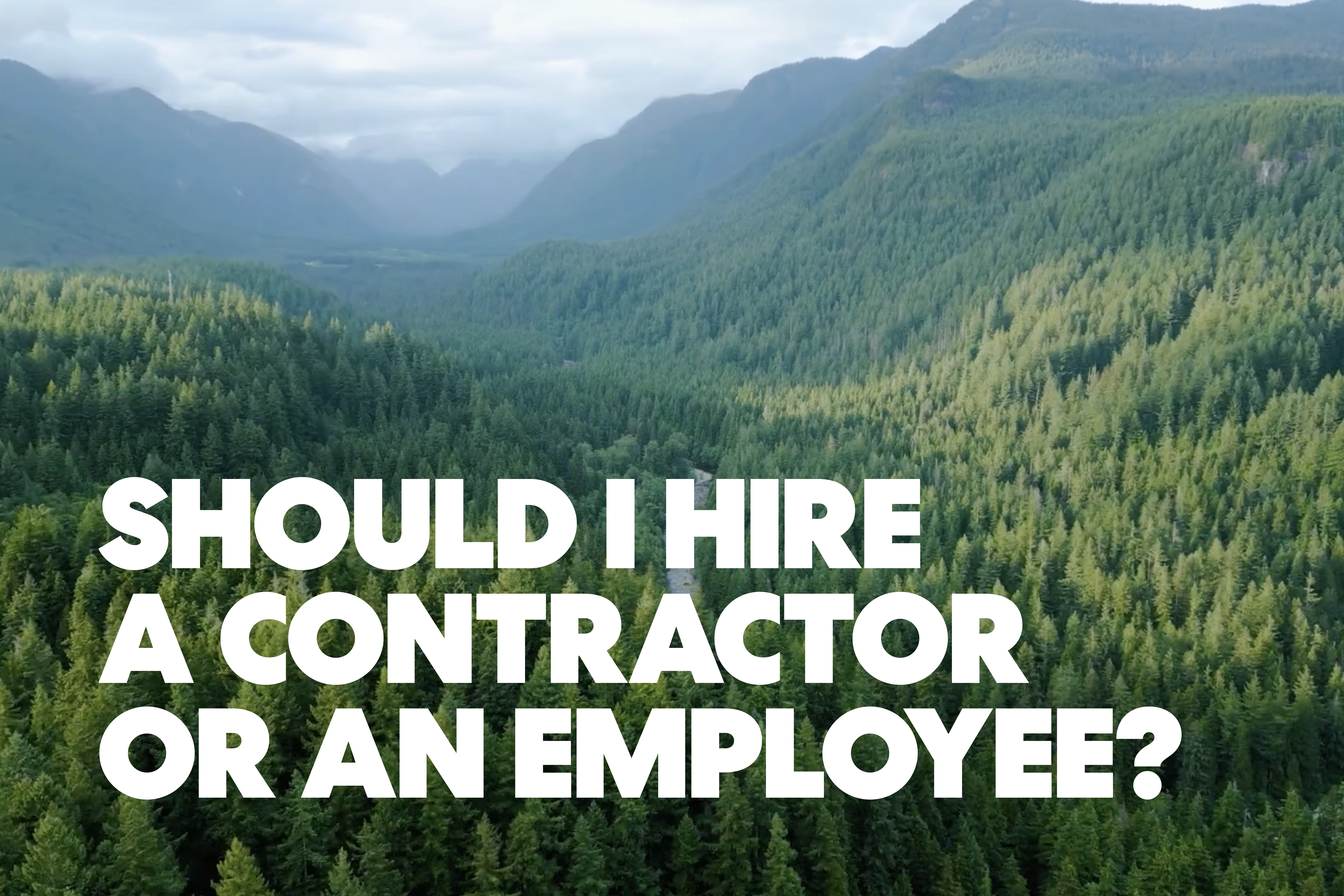 Should I Hire a Contractor or an Employee?