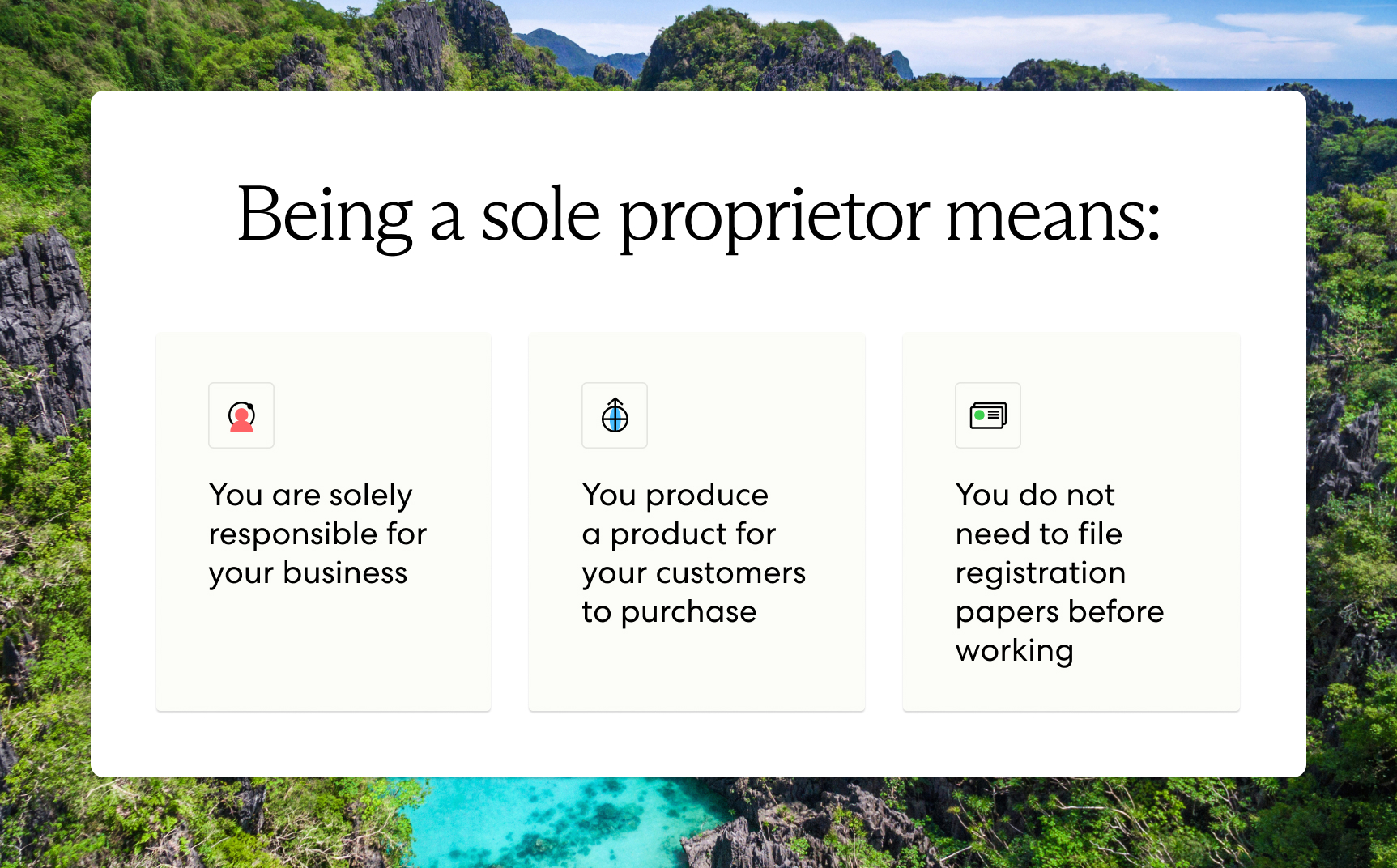 Being a sole proprietor means