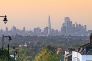U.K. neighborhood looking over city skyline at sundown
