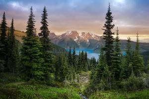 Snow-capped mountains in British Columbia, Canada overlooking Garibaldi Lake and a coniferous forest