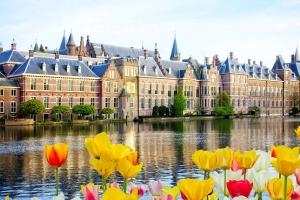 Navigating Netherlands Immigration Law