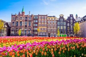 Traditional buildings and tulips in Amsterdam, Netherlands