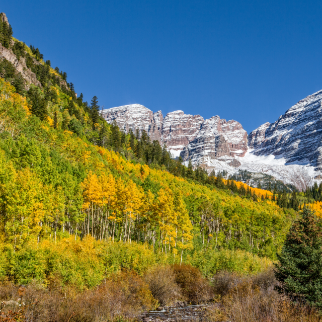 snow covered mountains with yellow and green aspens
