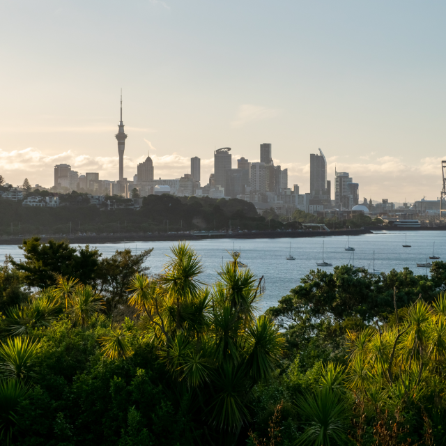 city skyline viewed from across a shoreline with boats