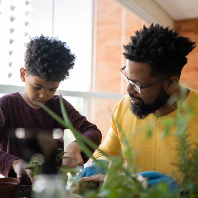 Father and son potting plants together