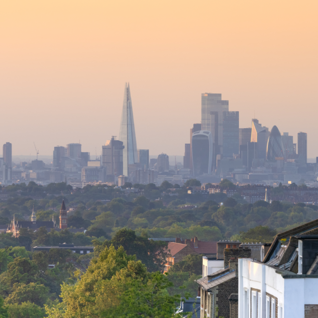 Cityscape with trees and tall buildings