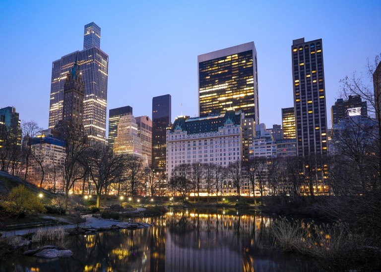 American skyline with park in foreground. 