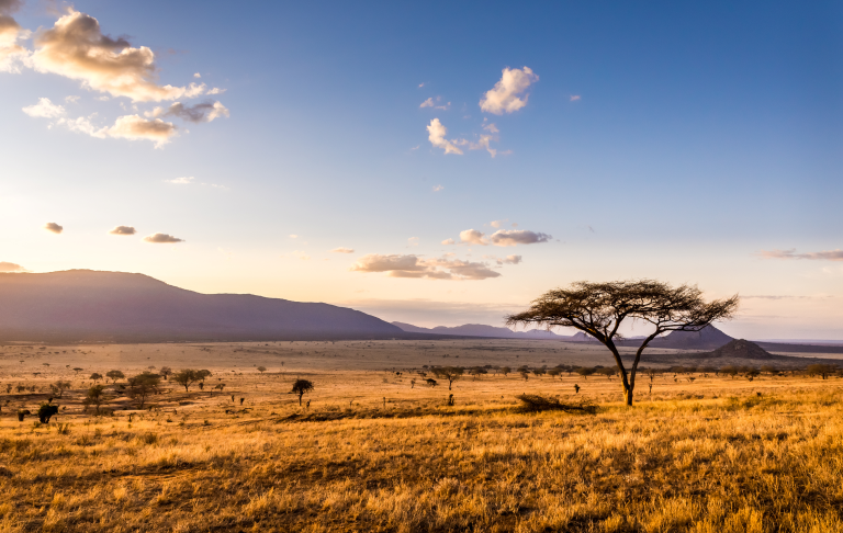 Scenic view of Kenya