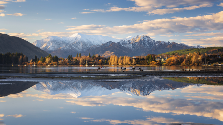 Scenic view of New Zealand