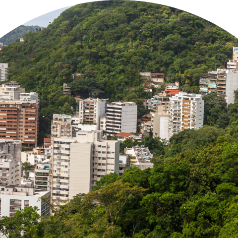 apartments on tree-covered hillside