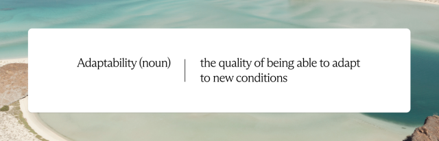 Adaptability is the quality of being able to adjust to different conditions