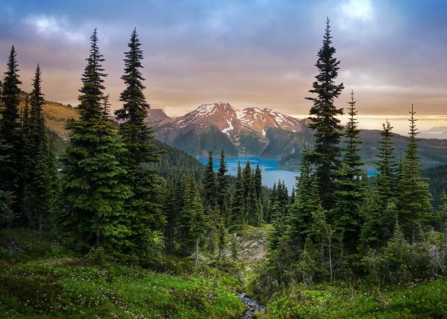 Snow-capped mountains in British Columbia, Canada overlooking Garibaldi Lake and a coniferous forest
