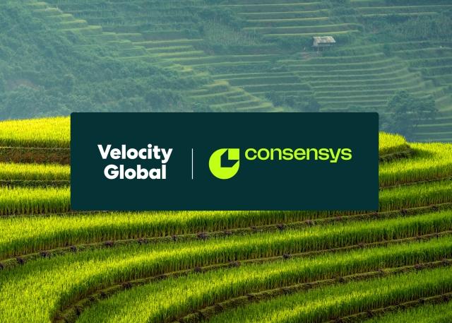Velocity Global and Consensys