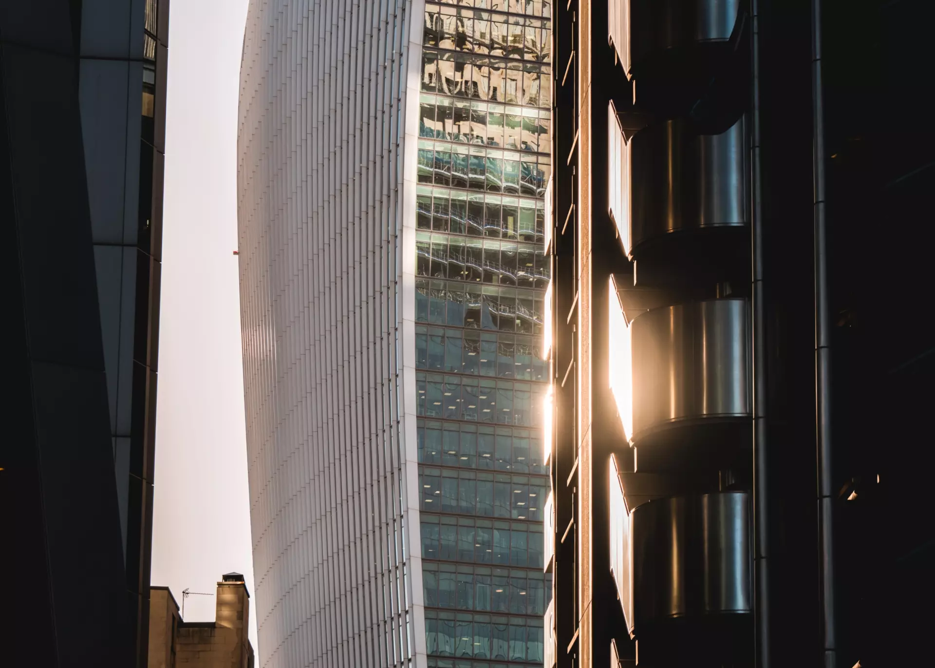 UNDERSTANDING ORGANIC VS. INORGANIC GROWTH: A GUIDE FOR GROWING BUSINESSES